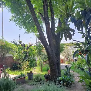 With A Garden Alloggio in famiglia
